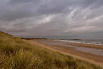 Golden marram grass on sand dunes overlooking Embleton Bay's wide sandy beach and North Sea coastline under grey clouds in Northumberland, England.