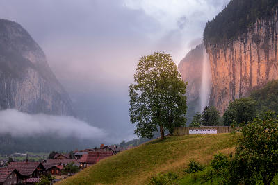 Lauterbrunnen village with houses and a lone tree in the foreground, with Staubbach Falls descending from illuminated cliff walls in misty valley conditions, Switzerland.