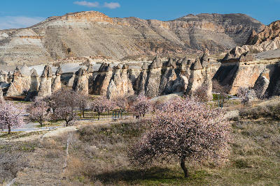 Pasabag Fairy Chimneys at Monks Valley, showing distinctive volcanic rock pillars in the Cappadocia region of Turkey.