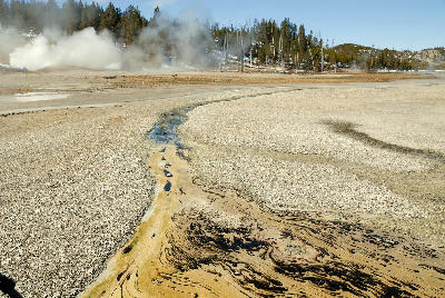 Hot spring runoff with mineral deposits forming patterns as water flows across geothermal ground in Yellowstone National Park, Wyoming.