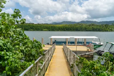 A yellow gangway leads to a white-roofed tour boat docked on a wide river lined by dense green forest.