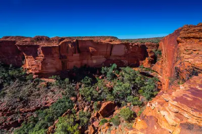View from the Kings Canyon Rim Walk across sheer red sandstone cliffs and the green vegetation growing on the canyon floor.