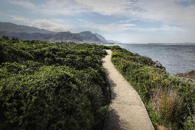 Coastal walking path along the Hermanus Cliff Path in South Africa, bordered by fynbos vegetation with ocean views and distant Overberg mountains beside Walker Bay.