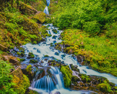 Bridal Veil Falls in the Columbia River Gorge cascading over moss-covered rocks through dense green forest with flowing stream in the foreground.