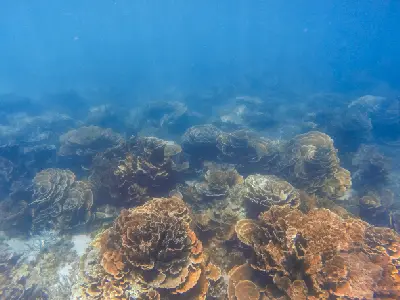 Extensive coral formations beneath the clear blue waters of Ningaloo Reef.