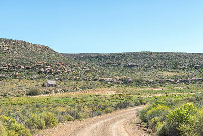 Rooibos tea fields and rural foothill landscapes along the Rooibos Heritage Route near Clanwilliam in the Western Cape, South Africa.