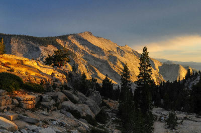 Granite rock formations and pine trees lit by sunset at Olmsted Point in Yosemite National Park.