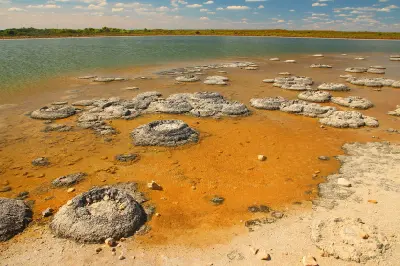 Thrombolites in the shallow waters of Lake Thetis near Cervantes, Western Australia.