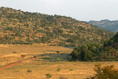 Safari vehicle on a dirt road crossing open grassland beneath the volcanic hills of Pilanesberg National Park in North West Province, South Africa.