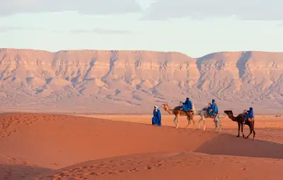 Tuareg camel caravan crossing sand dunes near Erg Chebbi in the Moroccan Sahara with desert cliffs and hamada landscape in the background.