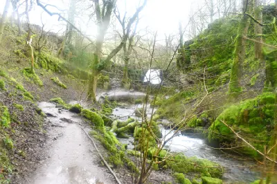 Woodland path beside a flowing stream with moss-covered rocks and a distant waterfall near Janet's Foss, North Yorkshire, England.