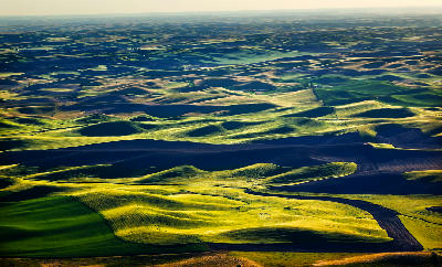 Rolling wheat fields and dark farmland patterns viewed from Steptoe Butte in the Palouse region of Washington