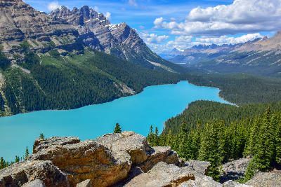Peyto Lake viewed from Bow Summit with turquoise glacial water and surrounding mountains, Banff National Park, Alberta, Canada