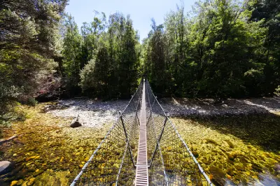 Suspension bridge crossing a clear river on the Frenchmans Cap Track in western Tasmania.