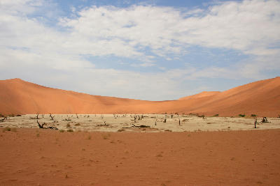 Dead trees across the Hiddenvlei clay pan surrounded by red sand dunes in Namibia.