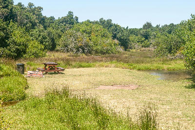 Picnic site beside wetlands and estuarine vegetation near the Groot River Estuary in Nature's Valley.