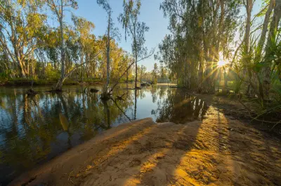 Golden morning light filters through eucalyptus and pandanus trees reflected in the calm waters of the Drysdale River.
