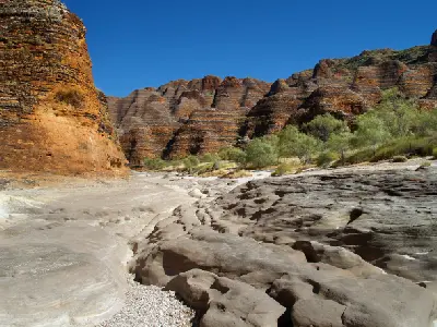 Eroded rock channels in the dry bed of Piccaninny Creek wind between striped sandstone formations and native vegetation.