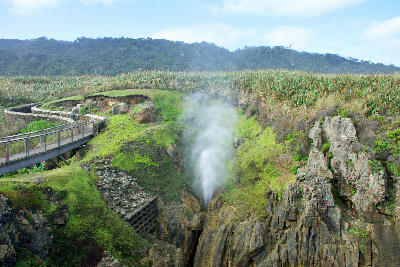Punakaiki Blowholes, Paparoa National Park, New Zealand