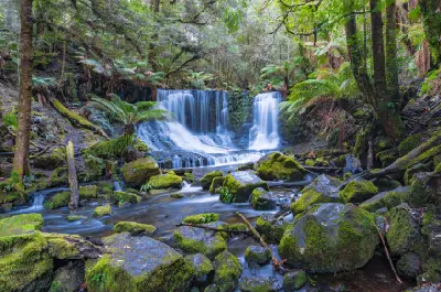 Horseshoe Falls flowing over moss-covered rock ledges among tree ferns and boulders in Mount Field National Park, Tasmania.