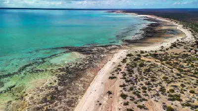 Aerial view of Hamelin Pool showing turquoise shallows, extensive stromatolite formations and the arid coastline.