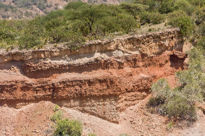 Close-up of the layered sedimentary cliffs at Olduvai Gorge in northern Tanzania, where millions of years of geological history have preserved internationally significant hominin fossils and stone tools.