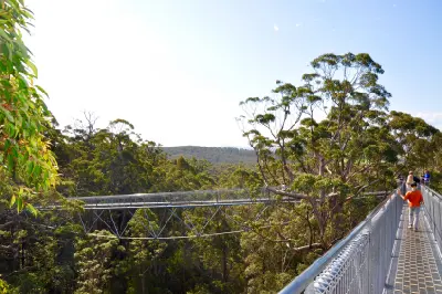 Visitors walking along the elevated Tree Top Walk through forest at the Valley of the Giants near Walpole, Western Australia.