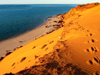 Footprints cross vivid red sand dunes above a pale beach and the blue waters of Shark Bay.