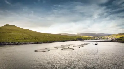 Salmon farm nets in Vágafjørður fjord with Sandavágur village and green slopes on Vágar Island in the Faroe Islands.