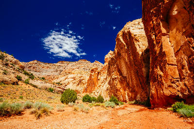 Grand Wash narrow canyon with sandstone walls and desert vegetation in Capitol Reef National Park Utah