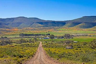 Gravel road crossing Biedouw Valley with seasonal wildflowers, farms and surrounding Cederberg mountains.