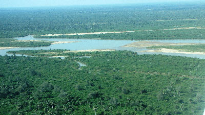 Aerial view of Lake Manze and the surrounding Rufiji floodplain in Nyerere National Park, Tanzania.