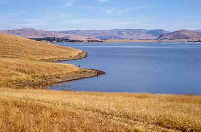 Wide view of Midmar Dam surrounded by golden grasslands and rolling hills in the KwaZulu-Natal Midlands.