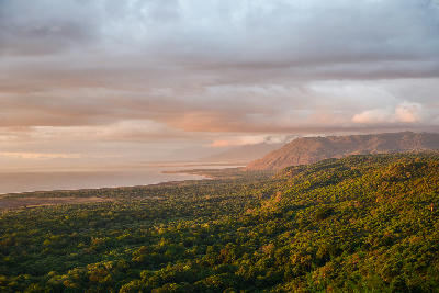 View across the Great Rift Valley escarpment and forest to Lake Manyara in northern Tanzania at sunset.
