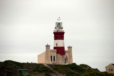 Cape Agulhas Lighthouse rising above coastal vegetation beneath an overcast sky in South Africa.