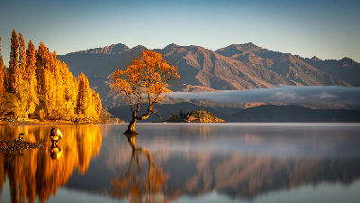 Photographer beside the famous That Wanaka Tree reflected in calm water on Lake Wanaka at sunrise in Wanaka, South Island, New Zealand.