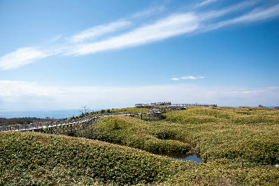 Elevated wooden boardwalk crossing grassy wetlands with views toward the Sea of Okhotsk in Shiretoko National Park, Hokkaido, Japan.