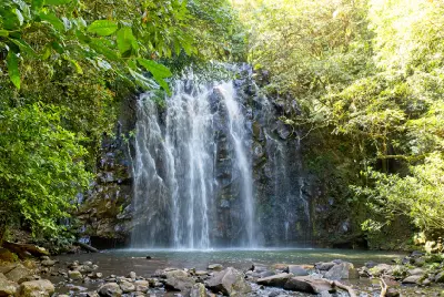 Frontal view of Ellinjaa Falls cascading into a rainforest pool, surrounded by dense green vegetation and rocks near Millaa Millaa, Queensland.