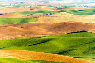 Steptoe Butte rolling farmland patterns Palouse Washington