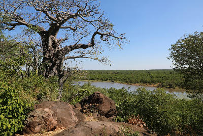 Baobab trees overlook Pioneer Dam in northern Kruger National Park, a landscape of rivers, waterholes and vast wilderness stretching across the park's remote northern region.