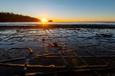Golden light reflecting across the geometric rock patterns of Tessellated Pavement, Tasmania.