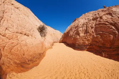 Sandy wash leading between rounded orange sandstone walls at the entrance to Zebra Slot Canyon in southern Utah.