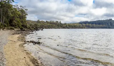 Rocky shoreline and forest beside Lake St Clair in Tasmania, Australia.