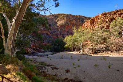 Broad sandy gorge floor framed by eucalyptus trees and steep red rock walls at Ormiston Gorge, with visitors providing scale beneath the cliffs.
