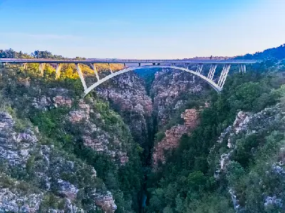 Storms River Bridge spanning the deep Storms River Gorge in Tsitsikamma, with the N2 crossing above rugged cliffs and indigenous forest.