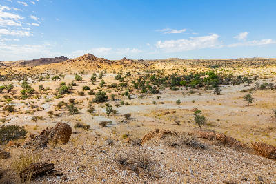 Semi-desert landscape with scattered trees and granite hills in Augrabies National Park, Northern Cape.