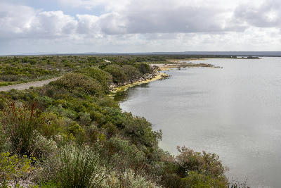 Wetland lagoon bordered by coastal fynbos and reserve roads in De Hoop Nature Reserve in the Western Cape, South Africa.