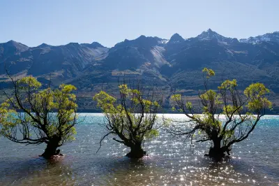 Willow trees standing in the shallow waters of Lake Wakatipu near Glenorchy with mountains rising behind, South Island, New Zealand.