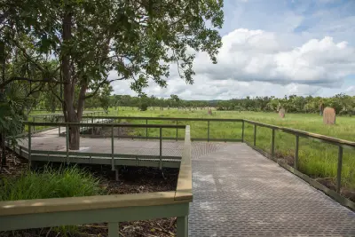 Metal boardwalk and viewing platform overlooking magnetic termite mounds scattered across green grassland in Litchfield National Park, Northern Territory, Australia.