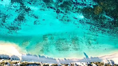 Aerial view of turquoise shallows and coral reef beside the white-sand shoreline of South Lefroy Bay.